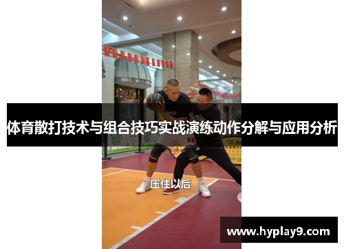 体育散打技术与组合技巧实战演练动作分解与应用分析